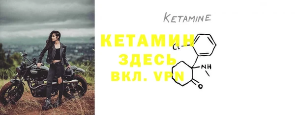 крисы Сосновка