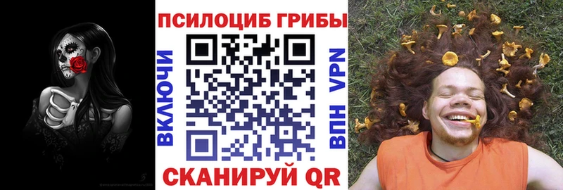 Галлюциногенные грибы Psilocybine cubensis Камешково