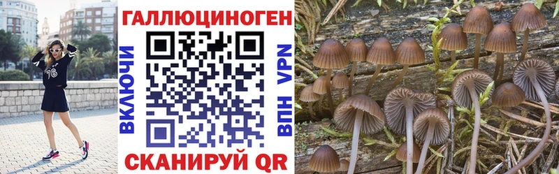 Псилоцибиновые грибы ЛСД  гидра зеркало  Камешково 